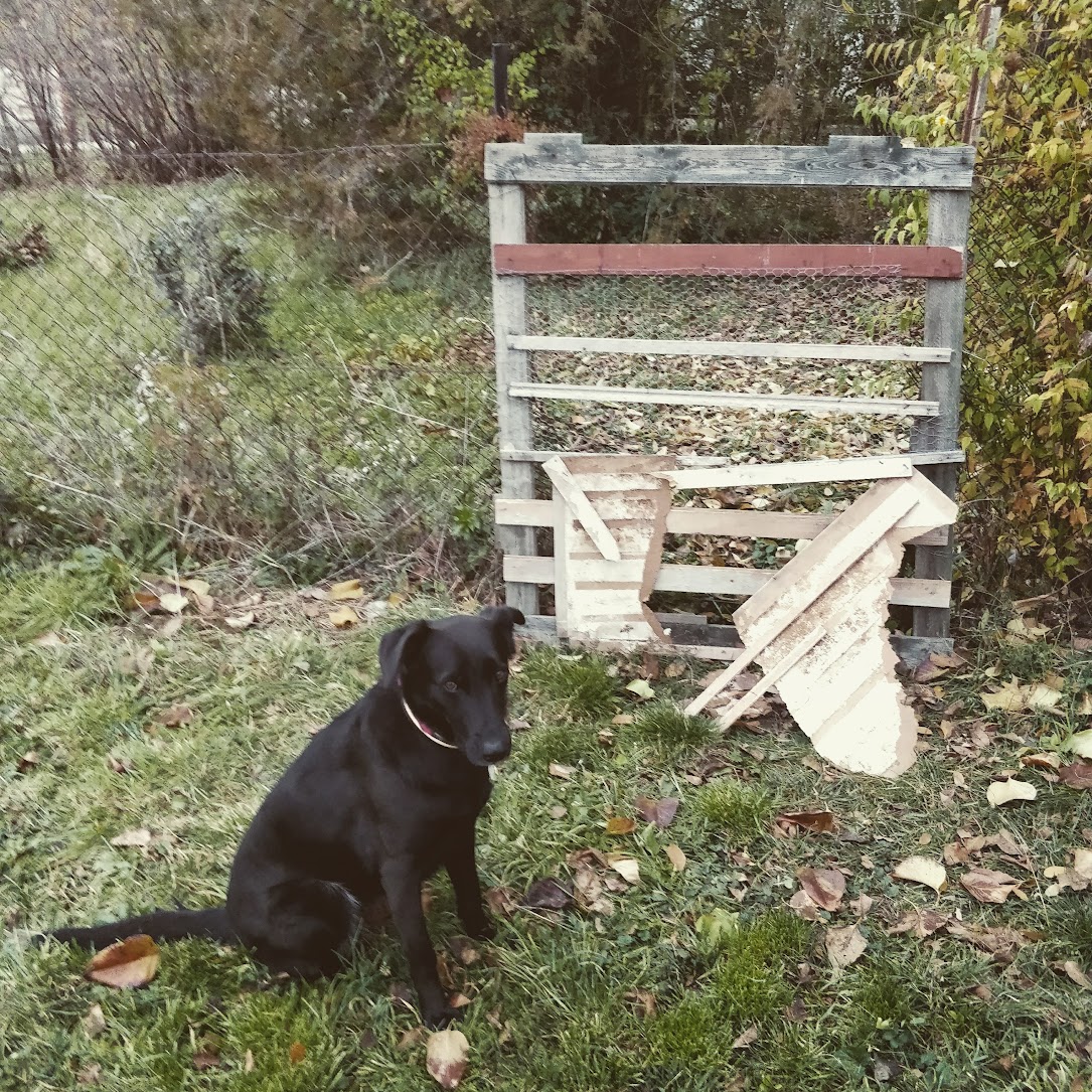the garden gate, she improved it