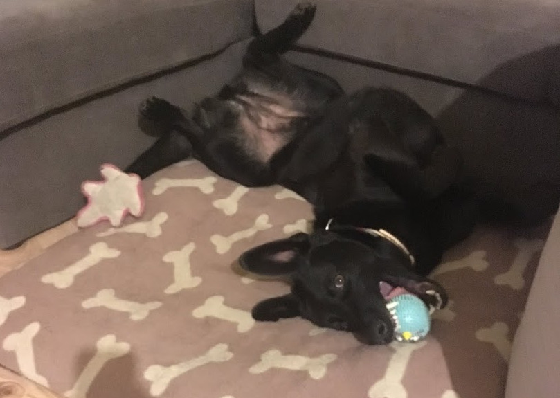 in a natural pose